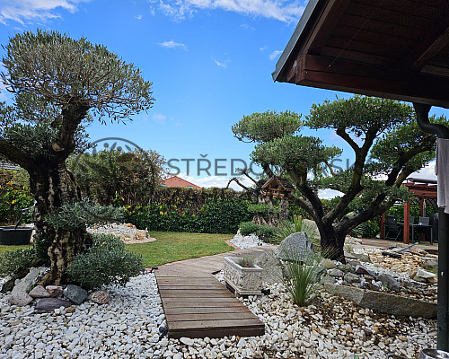 Středomořská zahrada - Č. Budějovice