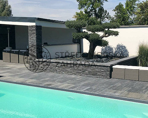 Olivovník na Moravě