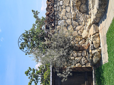 Valtice - Vinařství a penzion Archivní sklepy